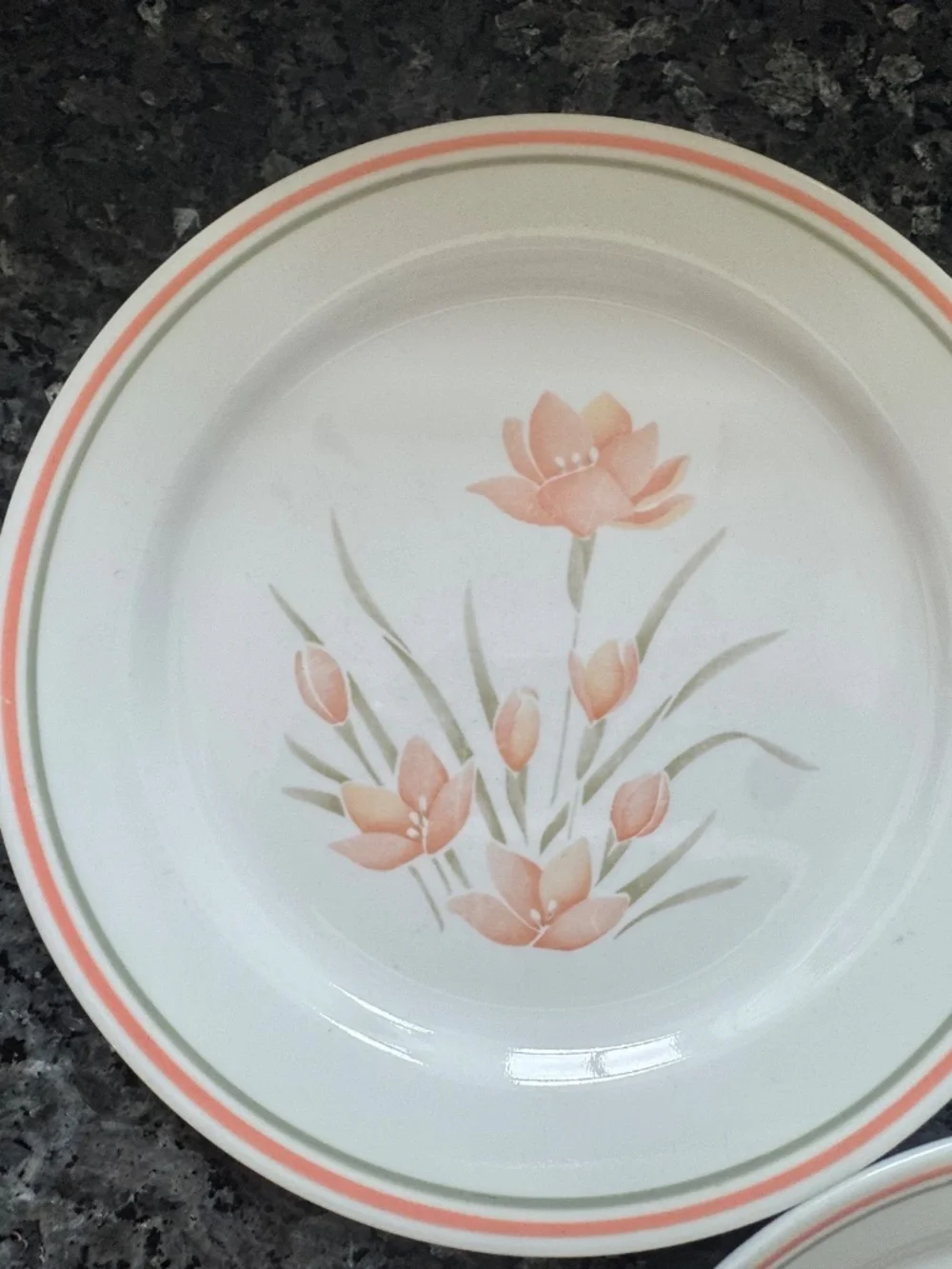 Vintage Corelle by Corning PEACH FLORAL 10 1/4” Dinner Plates Set of 3